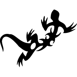 salamandre8