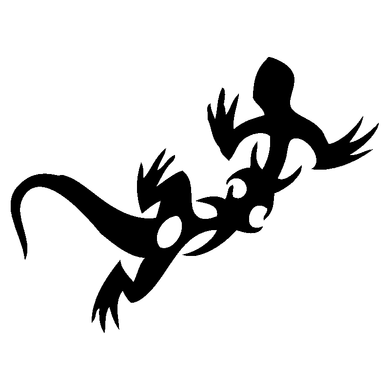 salamandre8