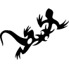 salamandre8