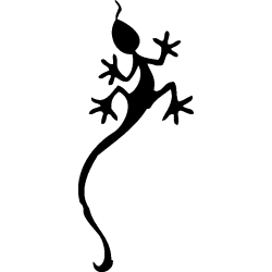 salamandre9