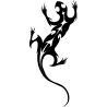 salamandre10