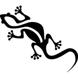 salamandre11