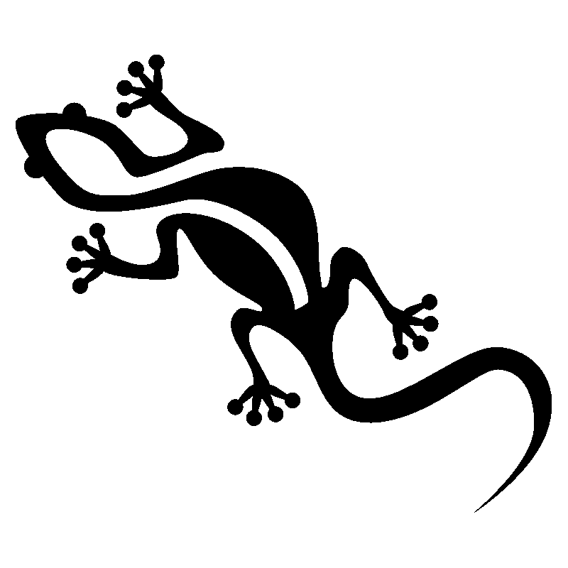 salamandre11