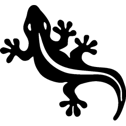 salamandre12