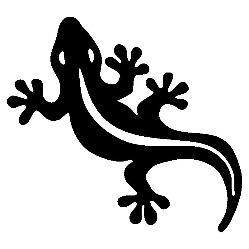 salamandre12