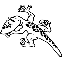 salamandre14