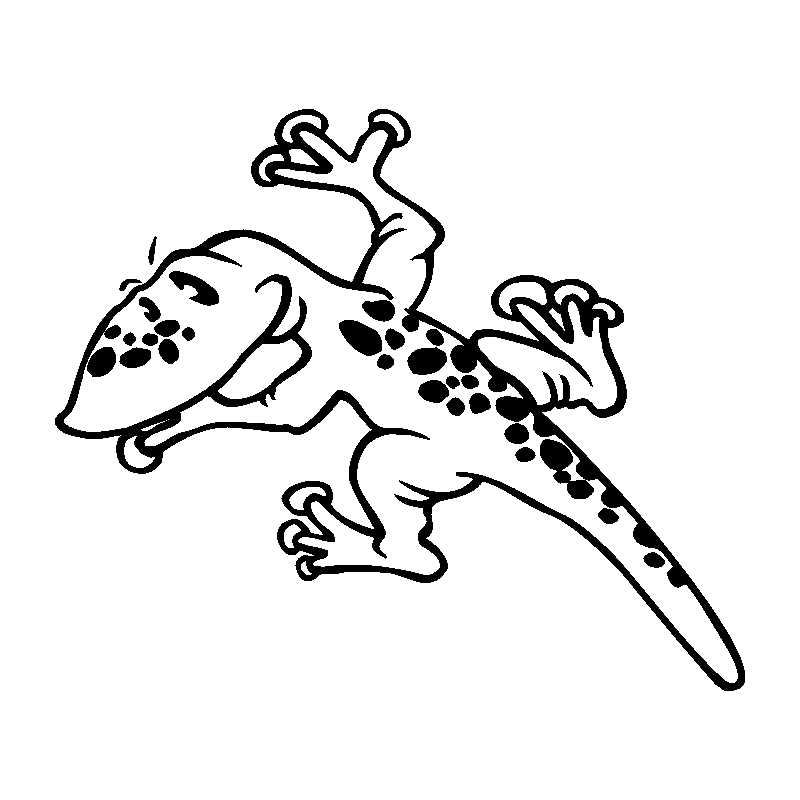 salamandre14