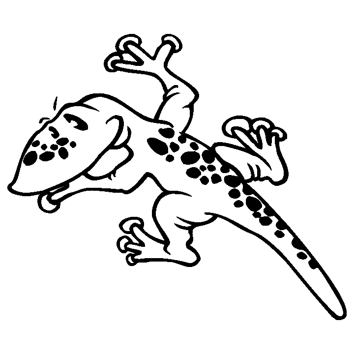 salamandre14
