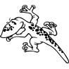 salamandre14