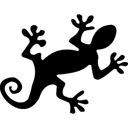 salamandre15