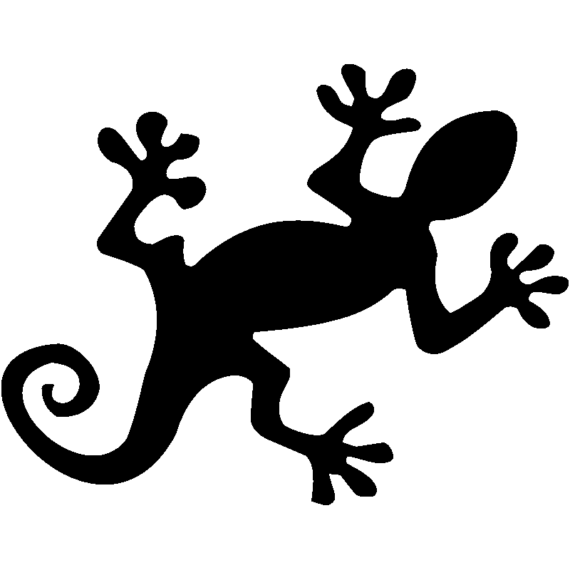 salamandre15