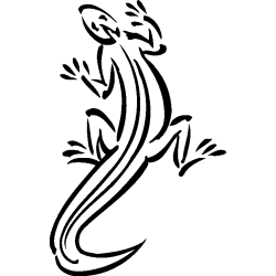 salamandre16
