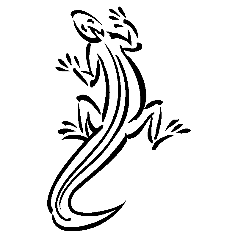 salamandre16