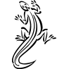 salamandre16