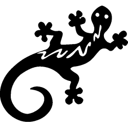 salamandre17