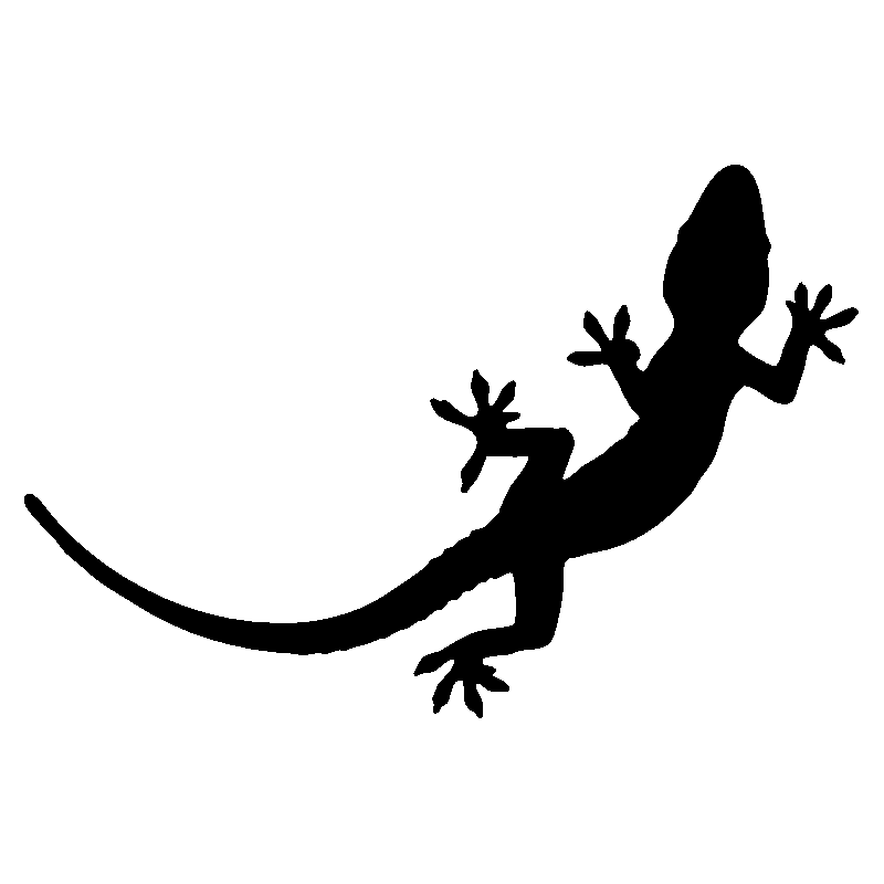 salamandre18