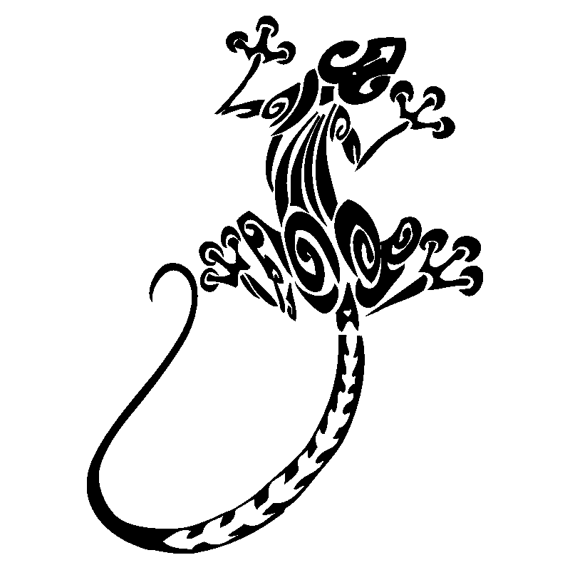 salamandre20