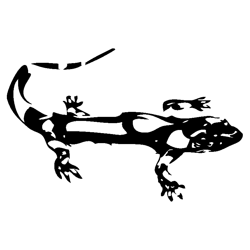 salamandre21