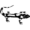 salamandre21