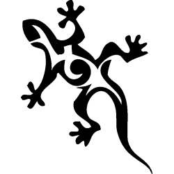 salamandre22