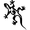 salamandre22