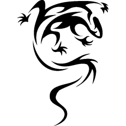 salamandre23