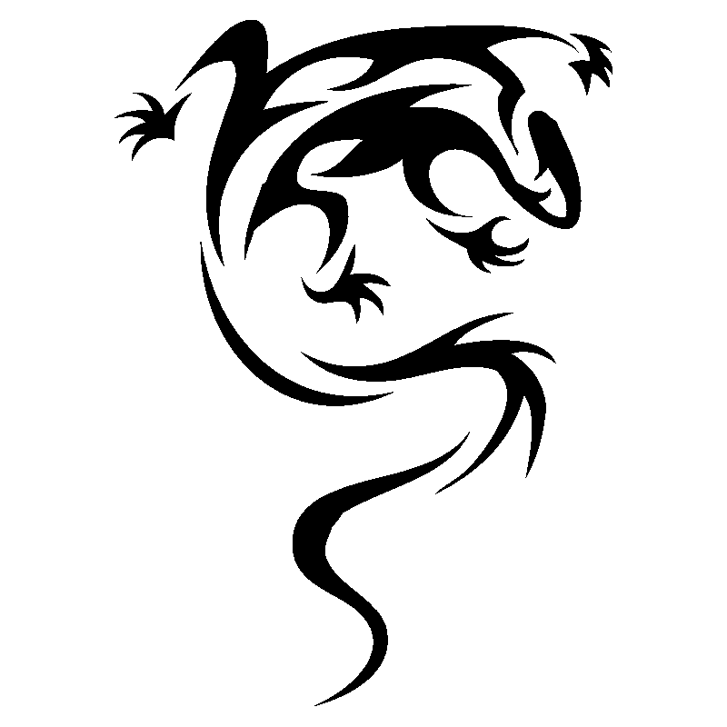 salamandre23