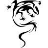 salamandre23