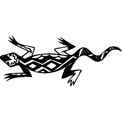salamandre24