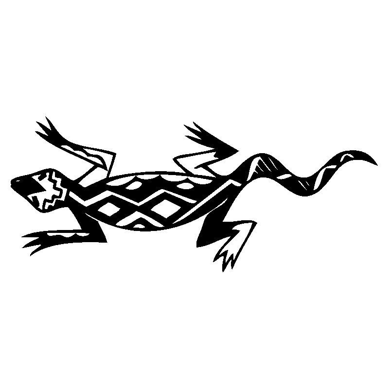 salamandre24