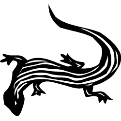 salamandre26