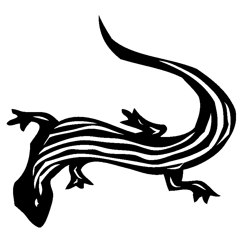 salamandre26