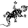 salamandre27