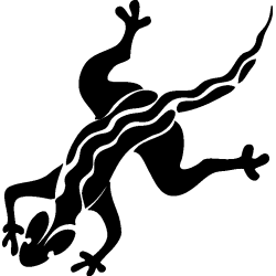 salamandre28