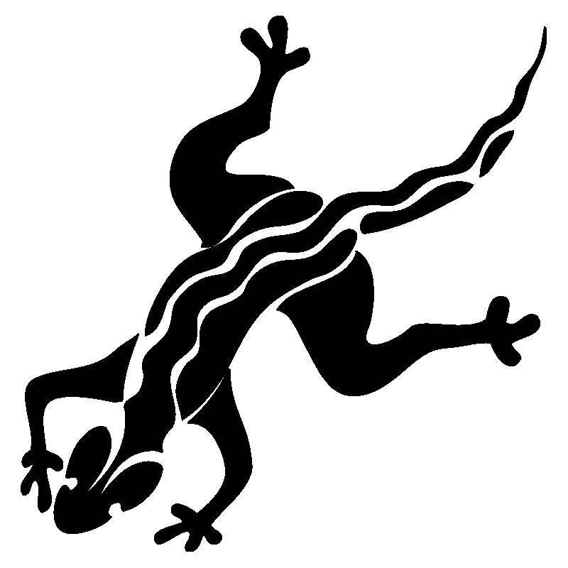 salamandre28