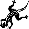 salamandre28