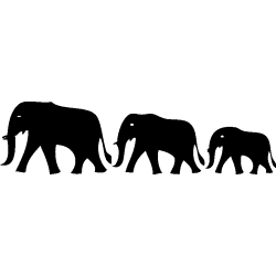 elephant3