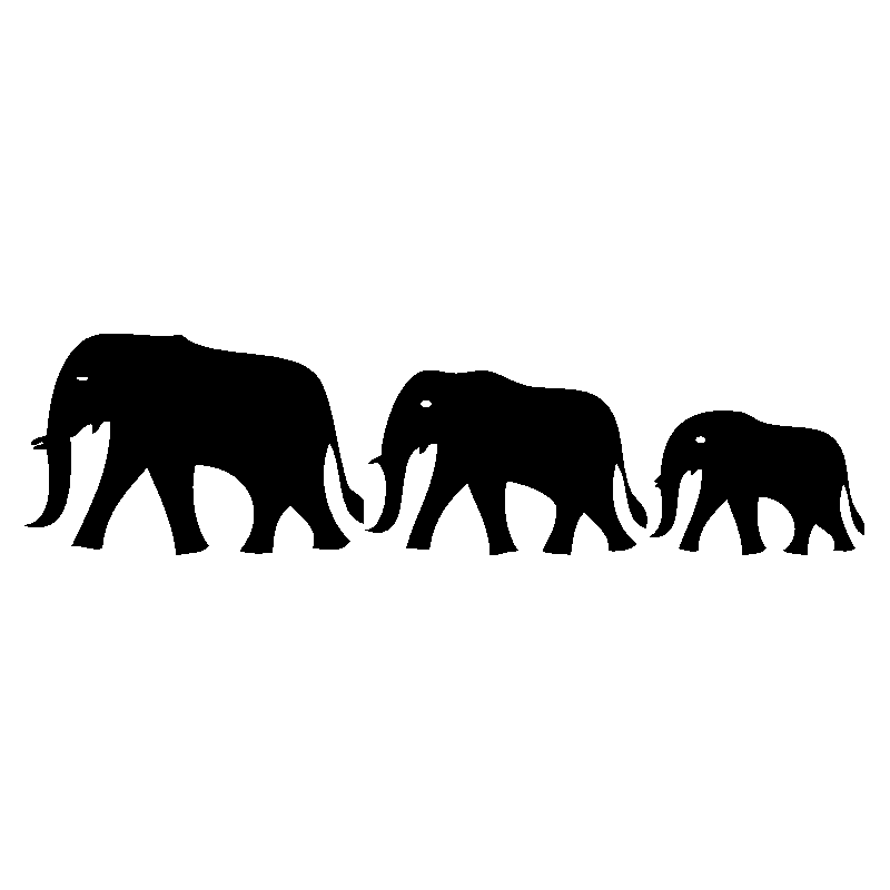 elephant3