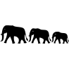 elephant3