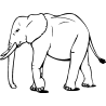 elephant4
