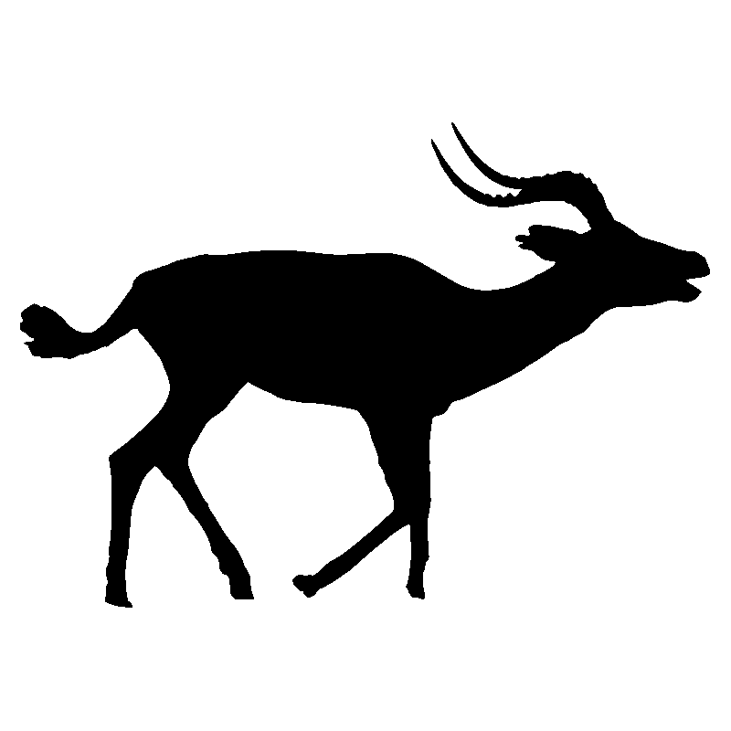 okapi1