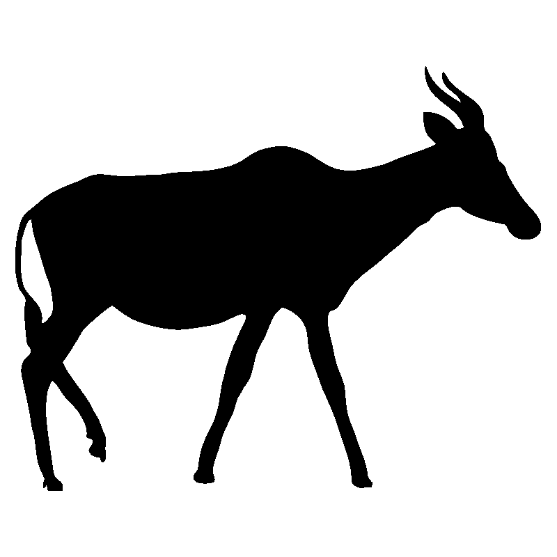 elan1