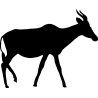 elan1