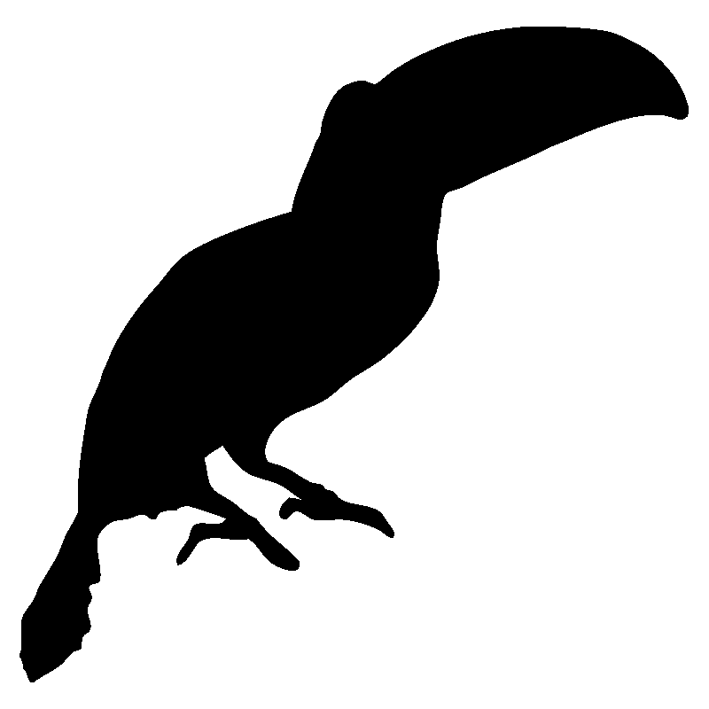 toucan1