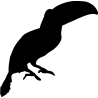 toucan1