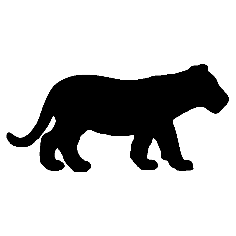 panthere1