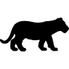 panthere1