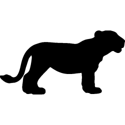 panthere3