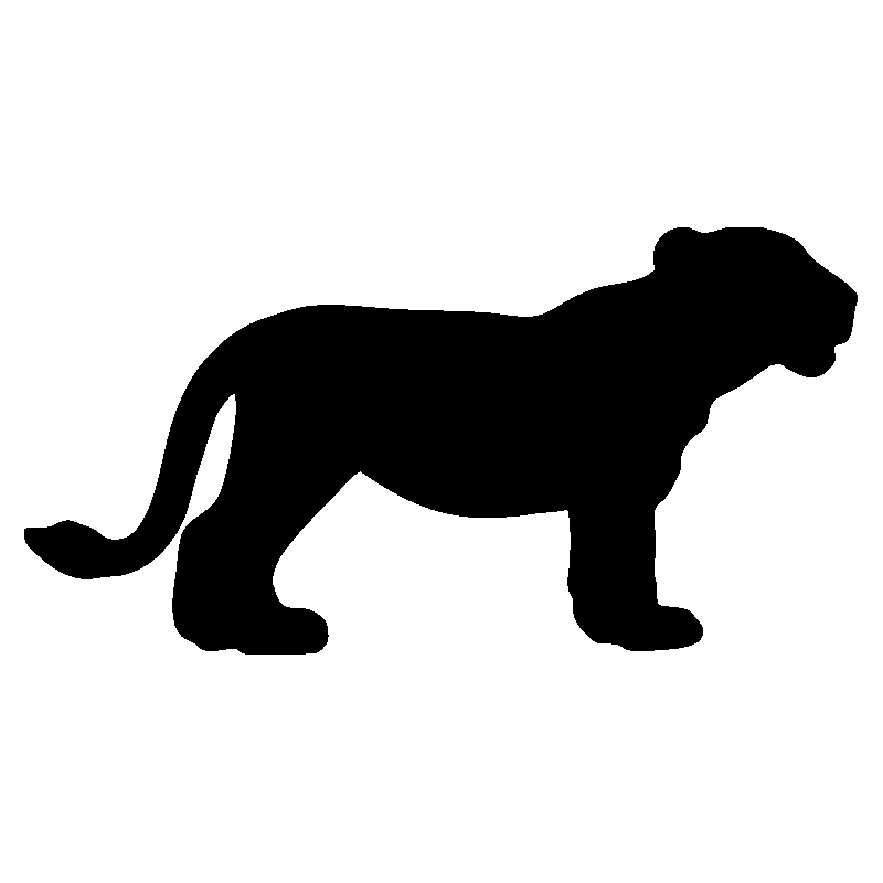 panthere3