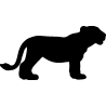 panthere3